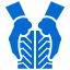 Llantas